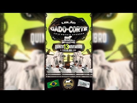 LEILÃO GADO DE CORTE FORMOSO LEILÕES - FORMOSO - GO - 13/11/2025
