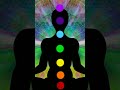 Very Powerful Om Chanting Meditation 7chakra Stress Relief Shots