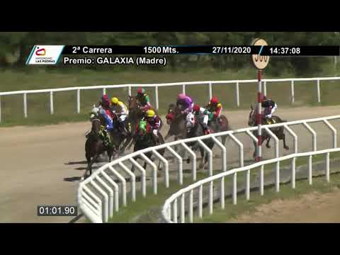 201127 c02 - PEPERONCCINO Asidero y Aspirin por Wild Event - HIPODROMO LAS PIEDRAS