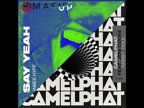 James Hype X Camelphat - Say Rabbit Hole (Sebastian Shaw MashUp)