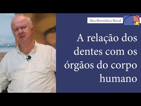 A relação dos dentes com os órgãos do corpo humano