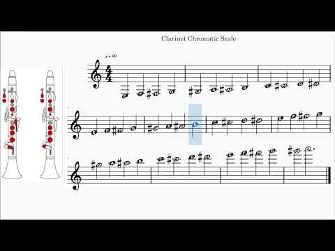Bb Clarinet | Chromatic Scale | All Notes | Fingering Chart