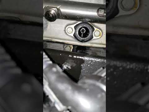 DD15 Leaking Injector Fuel Line Pass through seal replacement