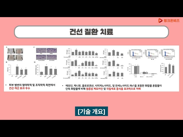 건선 예방, 개선 또는 치료용 조성물