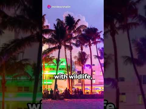 Top 3 Must Visit Spots in Florida Travel 2024