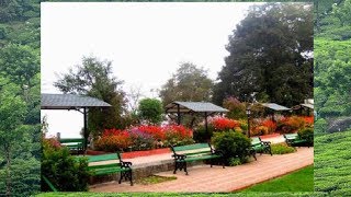 Nightingale Park, Darjeeling, West Bengal