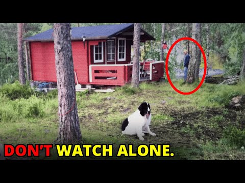30 SCARIEST Remote Cabin Encounters Caught In The Woods | Scary Comp V145