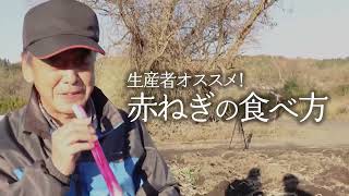 天栄長ネギ生産組合