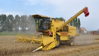 preview picture of video 'New Holland 8060 - tarwe dorsen'
