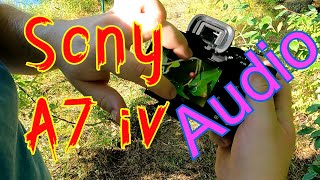 Sony A7 IV Audio and Footage