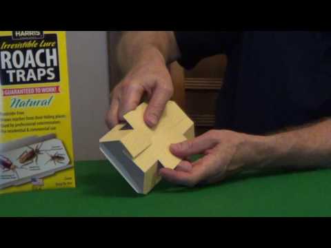 Roach Trap - Water Bug Trap - Roach Control