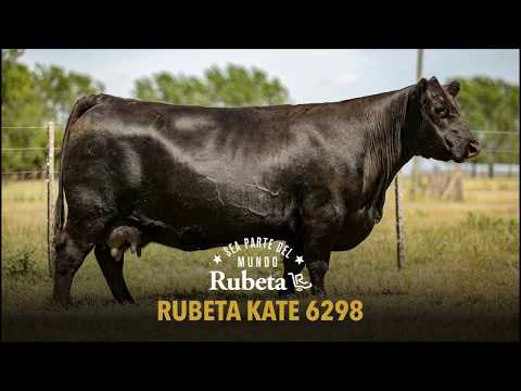 RUBETA KATE 6298