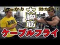 【筋トレ】ケーブルフライを楽しくやってみた!女性にモテる大胸筋の作り方!Cable Fly