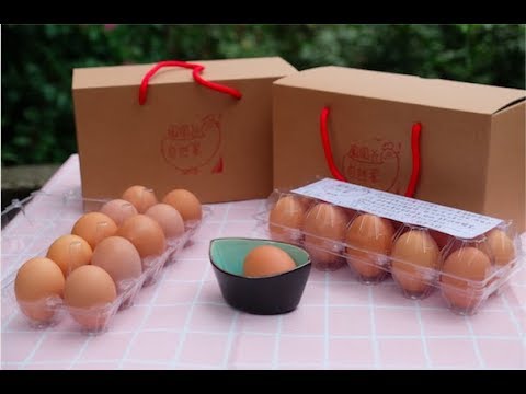 蛋求自然 找回記憶中一口咬下的原味