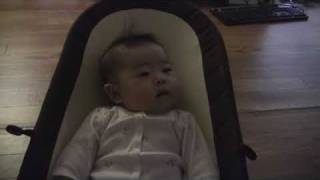 preview picture of video '00273 Babybjorn Transat Balance'