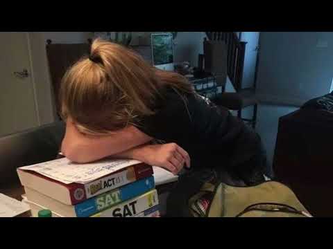 da da dasse (sped up)