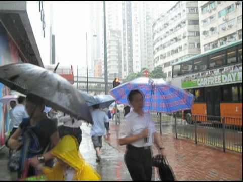 これは、傘袋です / THE LOTUS LIGHT CHARITY SOCIETY「UMBRELLA BAGS」