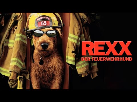 Vom Hollywood-Star zum Feuerwehrhelden 🐕🔥 Rexx, der Feuerwehrhund