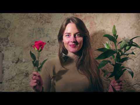 MARIALUNA CIPOLLA - PANNO D'ORTICA