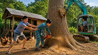 Download lagu Veteran personally saws down and sells an ancient tree—the husband's sinister scheme. mp3 Download lagu Veteran personally saws down and sells an ancient tree—the husband's sinister scheme. mp3