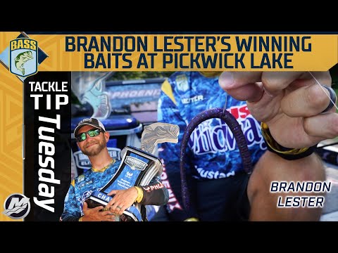 Brandon Lester's key bait to win at Pickwick Lake