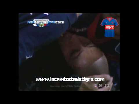 LA CAMISETA DE TIGRE - Gol de Carlos Ariel Luna a Vélez Sarsfield (2012)
