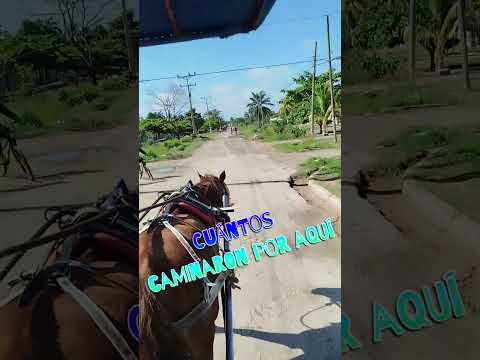 santa Cruz del Sur Camagüey #cubanostalgia #cronicasdemiisla #cubanosporelmundo #camaguey #playa