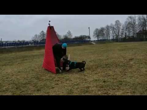 TRENING IGP|23.02.2020