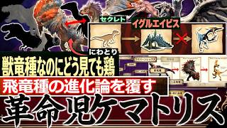 【モンハン解説】"絶滅種イグルエイビスとケマトリスの大きな矛盾" 知れば知るほど超面白い飛竜種・獣竜種・鳥竜種の進化論新説を徹底解説＆考察！【モンハン解説シリーズ】