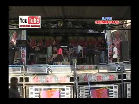 RADEN SANDIWARA || SHINTA DEWI || CITRA NADA LIVE DESA SEMBUNG