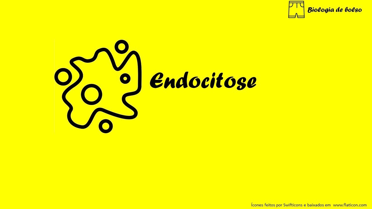Endocitose
