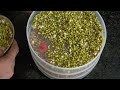 How To Use Sprout Maker Sprout Maker कैसे Useकरे Sprout Maker कशे Use करा�