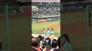 【TeamTaiwan】#衣宸 #包子 #禹菡 #冬季聯盟@斗六棒球場 20241130 #台湾チア #啦啦隊  #cheerdance #cheerleader #cpbl #teamtaiwan