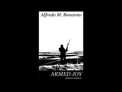 Armed Joy by Alfredo Bonanno