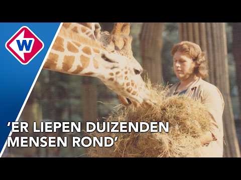 Zo zag Dierenpark Wassenaar er vroeger uit