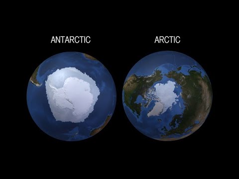 Antarctic vs Arctic
