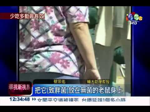 乳酸菌加水喝 6週甩掉1/4體重