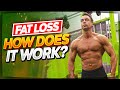 FAT LOSS HOW DOES IT WORK? | HOW TO LOSE FAT FAST! | THE PERFECT WORKOUT TO LOSE WEIGHT!