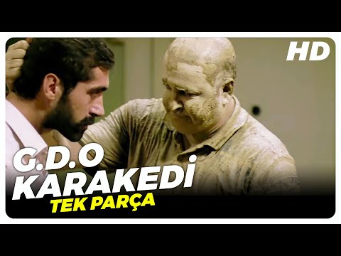 G.D.O Karakedi - Türk Filmi