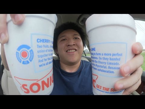 Sonic Drive In's Ice Cream Slushes REVIEW! #80