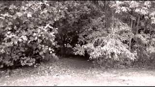 Joanna Pheonix - Without video