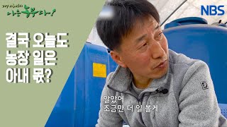 [쌈 채소 농부 완수 씨, 나는 이장이다!] 농부와 이장 사이
