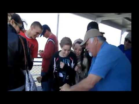 What Tha by Rodger Lovins - www.MJMMagic.com