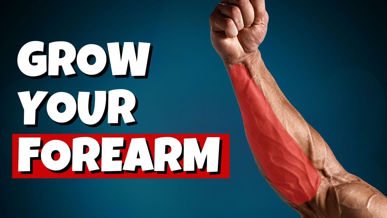 The Small Forearm Solution | Learn Biomechanics