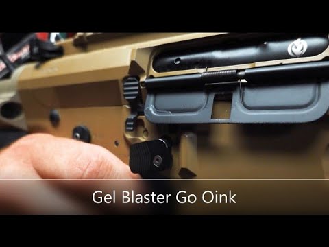 The Oink!!!  Anti Rev latch failure on APACHE