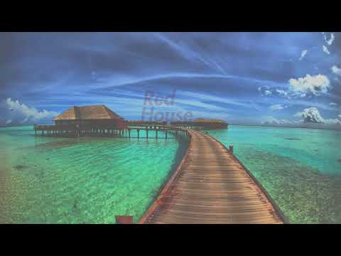 FELLA x DAN PORT - Trust In Me