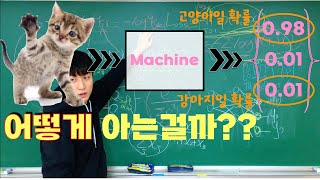 [딥러닝] 3-3강. 머신이 동물을 분류하는 과정 (Softmax regression & Cross-entropy) | 다중 분류 문제