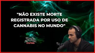 QUEM PODE USAR CANNABIS?