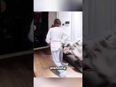 My dogs wouldn't let me open the door at midnight #supernatural #doginstinct