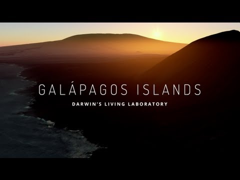 Explore the Galapagos Islands with Googl